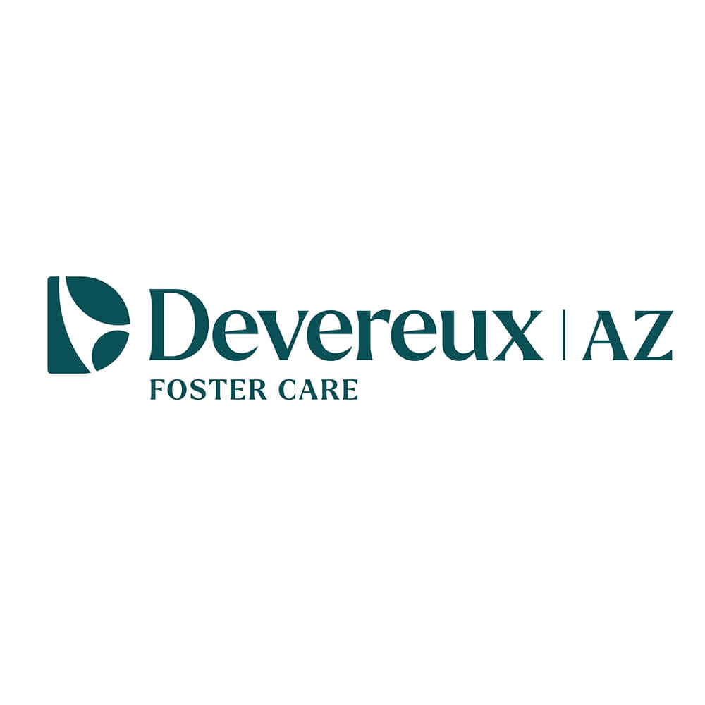 DEV_AZ_FosterCare_1c