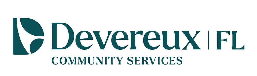 DEV_FL_CommServices_1c