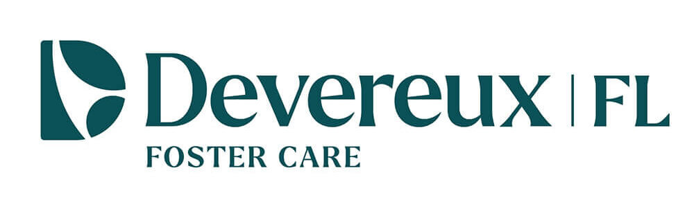 DEV_FL_Foster Care_1c