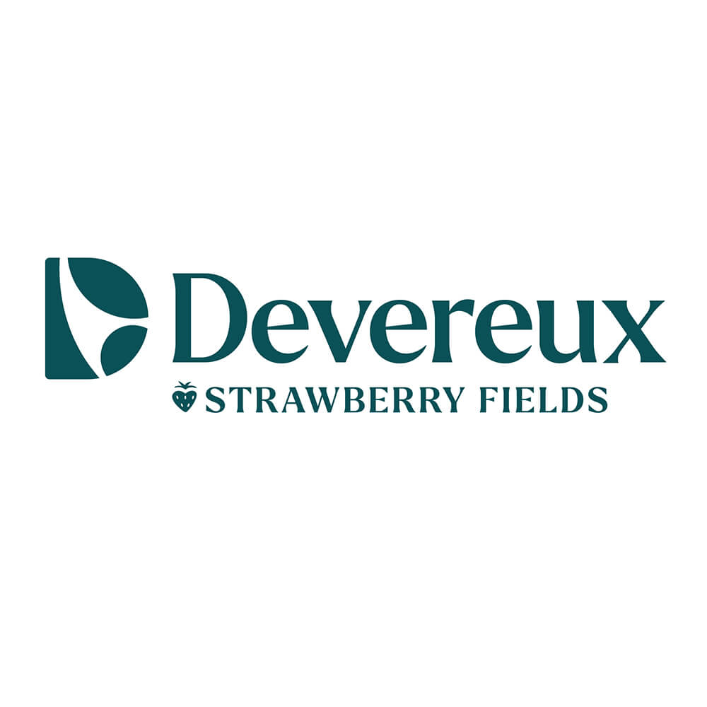 DEV_Partners_StrawberryFields_1c